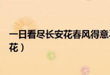 一日看盡長安花春風(fēng)得意馬蹄疾是什么意思(一日看盡長安花)