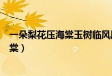 一朵梨花壓海棠玉樹臨風勝潘安是什么意思（一朵梨花壓海棠）