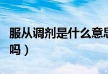 服從調(diào)劑是什么意思（不服從調(diào)劑的后果嚴重嗎）
