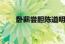 臥薪嘗膽陳道明電視?。ㄅP薪嘗膽）