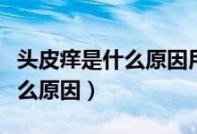 頭皮癢是什么原因用什么洗發(fā)水（頭皮癢是什么原因）