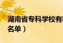 湖南省專科學校有哪些（2022最新高職院校名單）