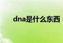 dna是什么東西（dna是什么意思啊）