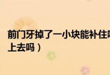 前門(mén)牙掉了一小塊能補(bǔ)住嗎（門(mén)牙掉了一小塊怎么辦,可以補(bǔ)上去嗎）