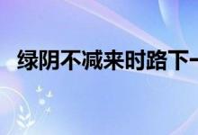 綠陰不減來(lái)時(shí)路下一句（綠陰不減來(lái)時(shí)路）