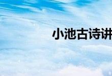 小池古詩講解（小池古詩）