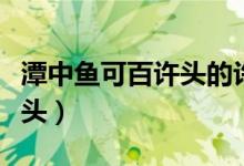 潭中魚(yú)可百許頭的許什么意思（潭中魚(yú)可百許頭）
