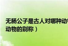 無(wú)腸公子是古人對(duì)哪種動(dòng)物的別稱（無(wú)腸公子是古人對(duì)哪種動(dòng)物的別稱）