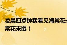 凌晨四點(diǎn)鐘我看見海棠花未眠下一句（凌晨四點(diǎn)鐘 我看見海棠花未眠）