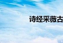 詩經(jīng)采薇古詩（詩經(jīng)采薇）