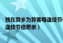 獨(dú)在異鄉(xiāng)為異客每逢佳節(jié)倍思親的意思（獨(dú)在異鄉(xiāng)為異客每逢佳節(jié)倍思親）
