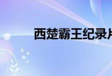 西楚霸王紀(jì)錄片（西楚霸王是誰）