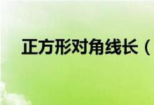 正方形對(duì)角線長(zhǎng)（正方形對(duì)角線怎么算）