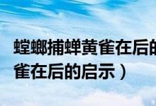 螳螂捕蟬黃雀在后的啟示是什么(螳螂捕蟬黃雀在后的啟示)