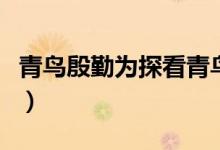 青鳥殷勤為探看青鳥指什么（青鳥殷勤為探看）