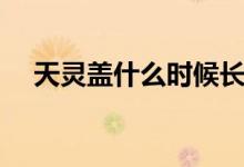 天靈蓋什么時候長好（天靈蓋什么意思）