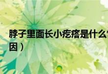 脖子里面長小疙瘩是什么情況（脖子里面長小疙瘩是什么原因）