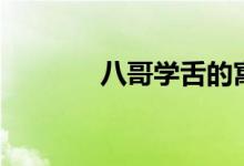 八哥學舌的寓意（八哥學舌）