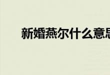 新婚燕爾什么意思（新婚燕爾的意思）