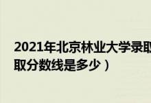 2021年北京林業(yè)大學錄取分數（2021北京林業(yè)大學各省錄取分數線是多少）