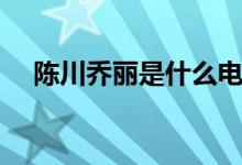 陳川喬麗是什么電視?。ǜ〕羷∏榻榻B）