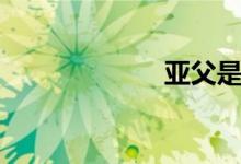 亞父是誰（亞父）