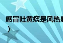 感冒吐黃痰是風熱感冒（感冒吐黃痰是排毒嗎）