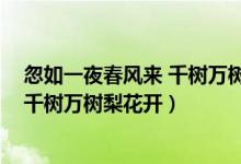 忽如一夜春風(fēng)來(lái) 千樹(shù)萬(wàn)樹(shù)梨花開(kāi)的意思（忽如一夜春風(fēng)來(lái) 千樹(shù)萬(wàn)樹(shù)梨花開(kāi)）