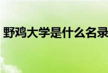 野雞大學(xué)是什么名錄（野雞大學(xué)是什么意思）