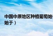 中國中原地區(qū)種植葡萄始于多少年（中國中原地區(qū)種植葡萄始于）