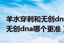 羊水穿刺和無創(chuàng)dna哪個比較準(zhǔn)(羊水穿刺和無創(chuàng)dna哪個更準(zhǔn))