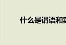 什么是謂語和賓語（什么是謂語）