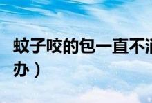蚊子咬的包一直不消怎么辦（蚊子咬的包怎么辦）