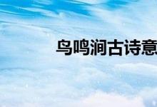 鳥(niǎo)鳴澗古詩(shī)意思（鳥(niǎo)鳴澗古詩(shī)）