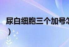 尿白細(xì)胞三個(gè)加號(hào)怎么辦（尿白細(xì)胞三個(gè)加號(hào)）