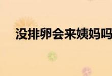 沒排卵會(huì)來姨媽嗎(沒排卵會(huì)來月經(jīng)嗎)