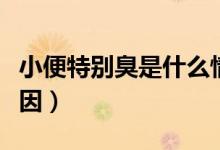 小便特別臭是什么情況（小便特別臭是什么原因）