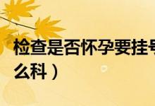 檢查是否懷孕要掛號嗎(檢查是否懷孕要掛什么科)