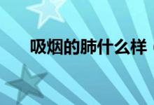 吸煙的肺什么樣（吸煙的肺什么樣子）