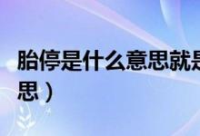 胎停是什么意思就是流產(chǎn)了嗎（胎停是什么意思）