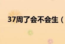37周了會(huì)不會(huì)生（37周是不是隨時(shí)會(huì)生）