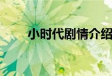 小時(shí)代劇情介紹（該片講述了什么）