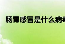 腸胃感冒是什么病毒（腸胃感冒是什么?。?class=