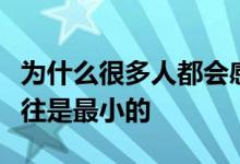 為什么很多人都會(huì)感覺(jué)到家里最精明的孩子往往是最小的