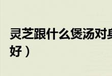 靈芝跟什么煲湯對身體好（靈芝跟什么煲湯最好）