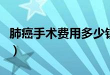 肺癌手術(shù)費(fèi)用多少錢?。ǚ伟┦中g(shù)費(fèi)用多少錢）