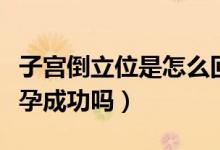 子宮倒立位是怎么回事（子宮后位倒立就會(huì)懷孕成功嗎）