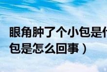 眼角腫了個(gè)小包是什么引起的（眼角腫了個(gè)小包是怎么回事）