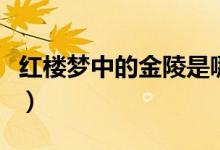 紅樓夢中的金陵是哪個地方（紅樓夢中的平兒）
