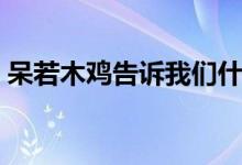 呆若木雞告訴我們什么道理（呆若木雞翻譯）